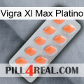 Vigra Xl Max Platinum 26